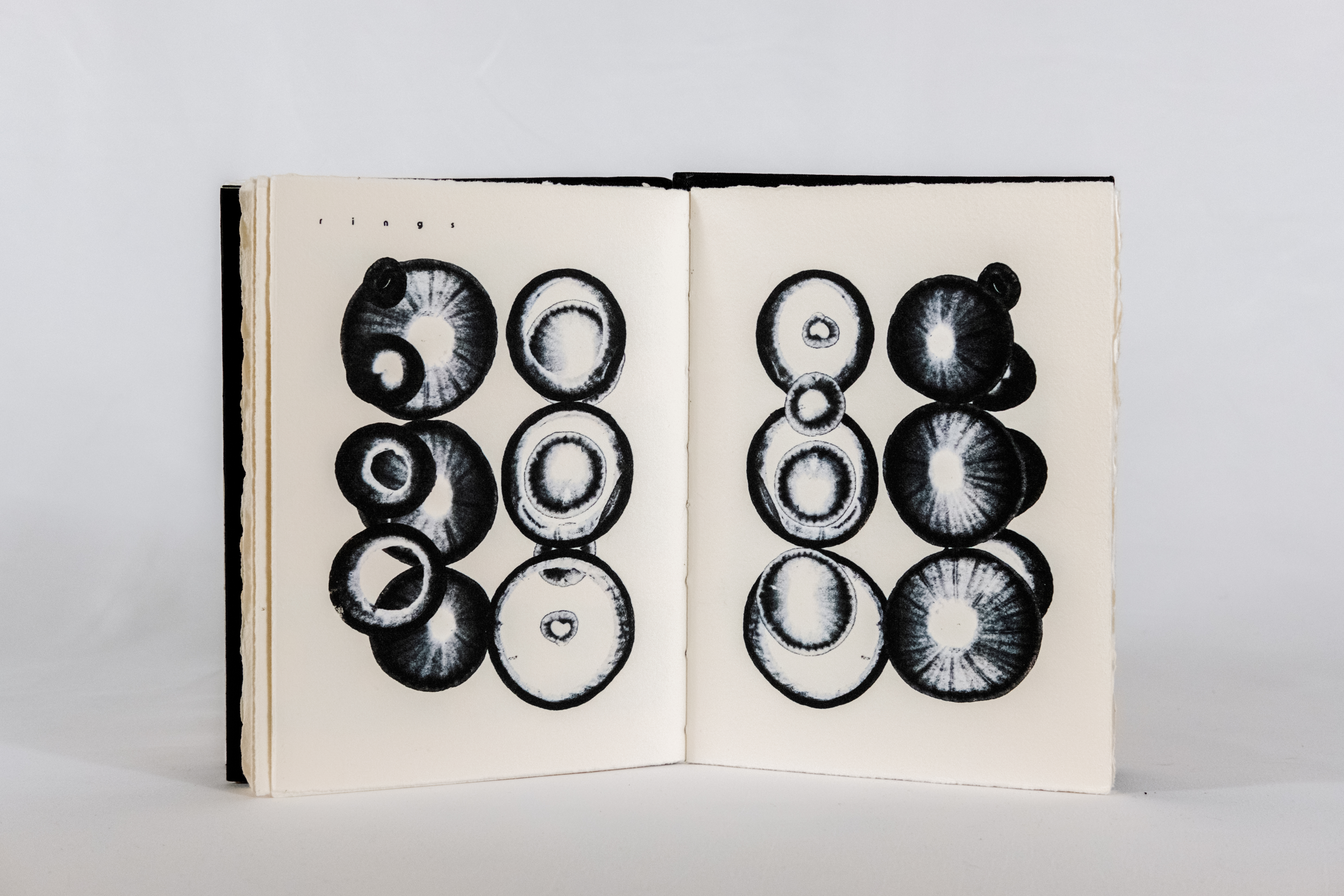 Project 9 thumbnail 7