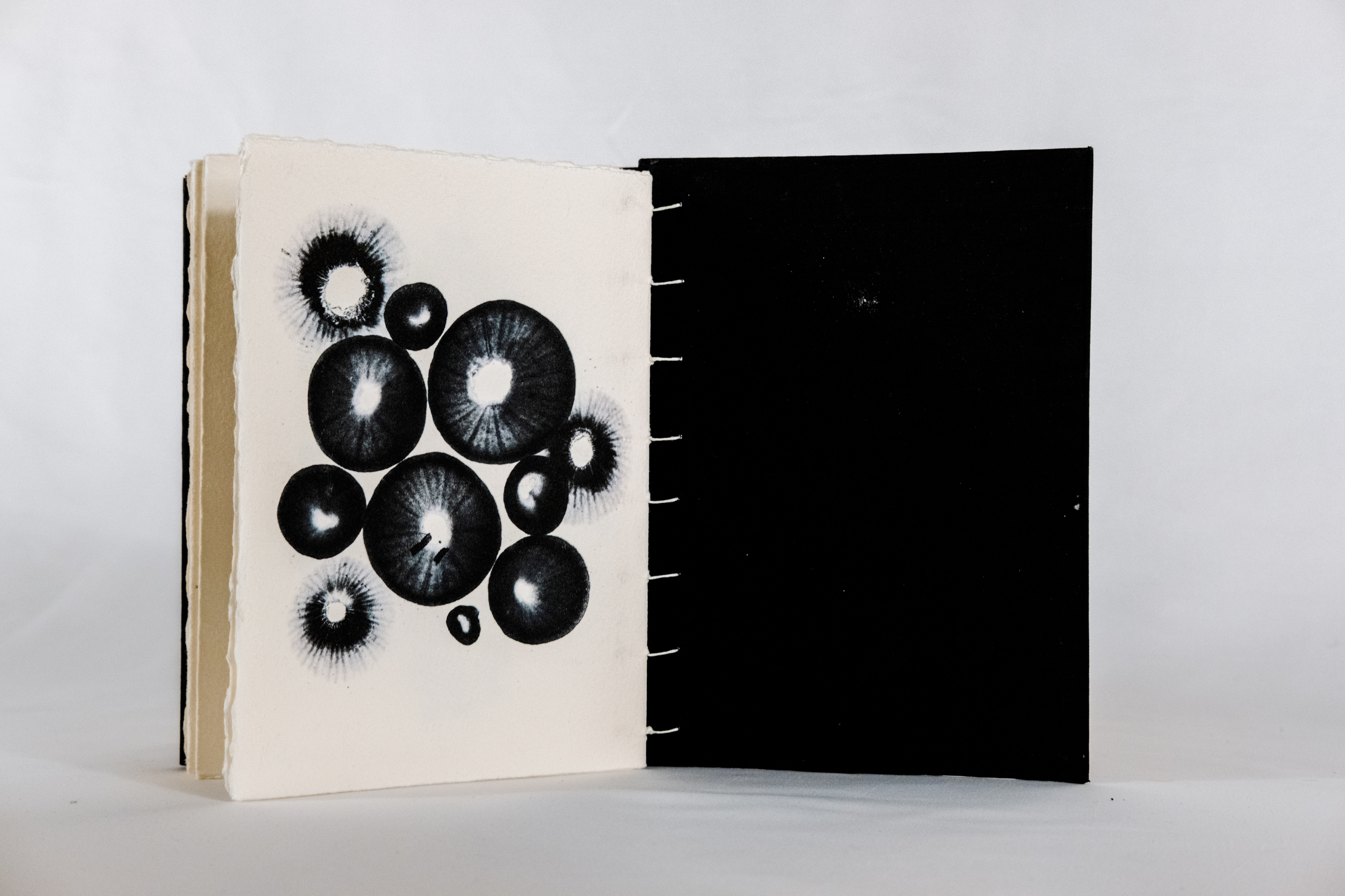 Project 9 thumbnail 9